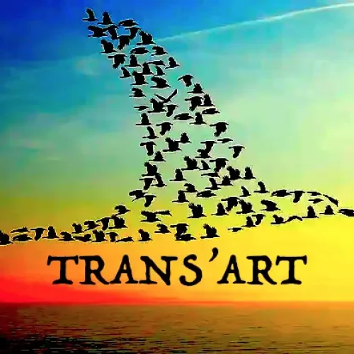 TRANSARt-LOGO3